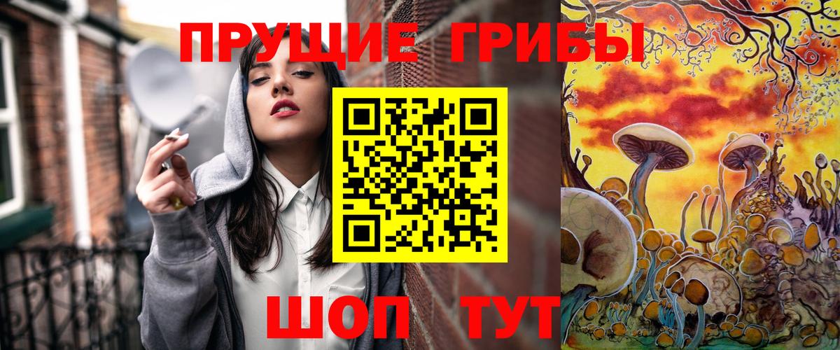 Псилоцибиновые грибы Cubensis  Вход с VPN  Клин 